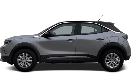 MOKKA B 2020-